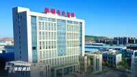 新疆新鑫礦業